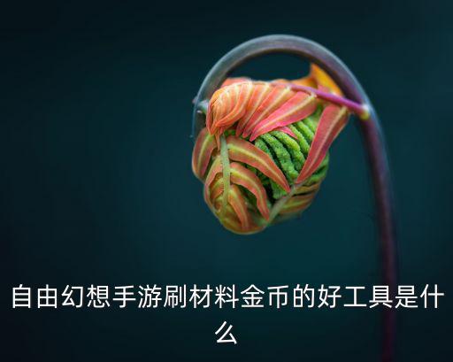 自由幻想手游刷材料金币的好工具是什么
