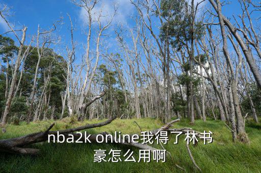 nba2k20手游林书豪怎么搞，NBA2K林书豪怎么用