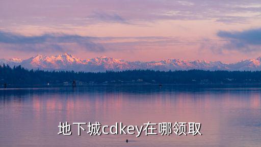 地下城手游苹果怎么领取cdk，怎么拿到dnfCDKEY