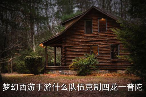 梦幻手游怎么克制海洋队伍，梦幻西游手游怎么离队