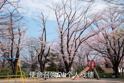 使命召唤OL个人战绩