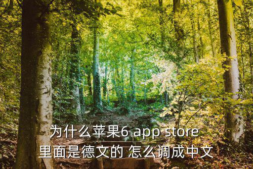 为什么苹果6 app store 里面是德文的 怎么调成中文