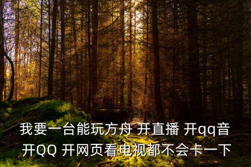 我要一台能玩方舟 开直播 开qq音 开QQ 开网页看电视都不会卡一下