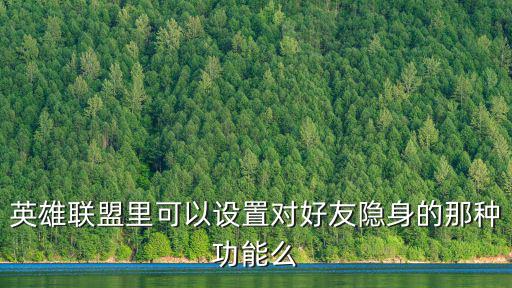 手游lol怎么对好友隐身，如何对好友设置隐身对其可见