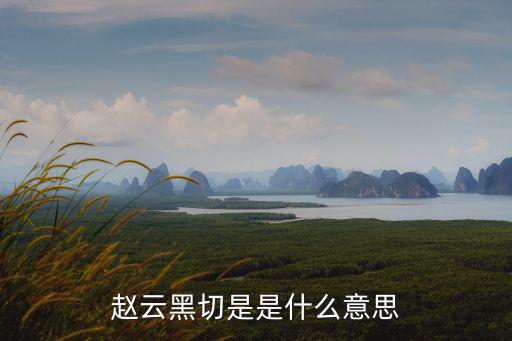 赵云黑切是是什么意思