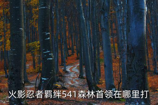 火影忍者羁绊541森林首领在哪里打