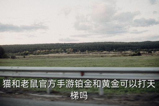猫和老鼠官方手游铂金和黄金可以打天梯吗