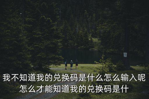 我不知道我的兑换码是什么怎么输入呢怎么才能知道我的兑换码是什