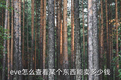 eve怎么查看某个东西能卖多少钱