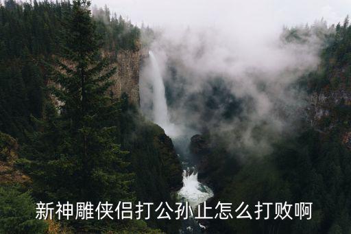 神雕手游公孙止传怎么过，神雕侠侣绝情谷副本公孙止怎么打