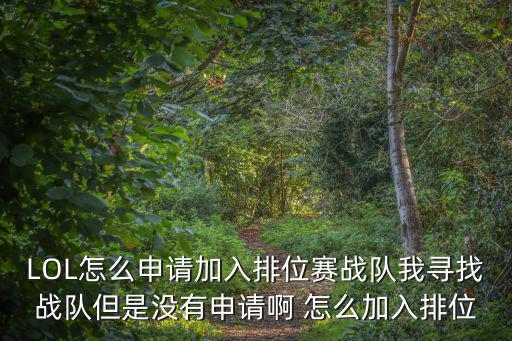 LOL怎么申请加入排位赛战队我寻找战队但是没有申请啊 怎么加入排位