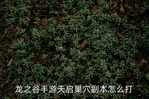 龙之谷手游天启巢穴副本怎么打