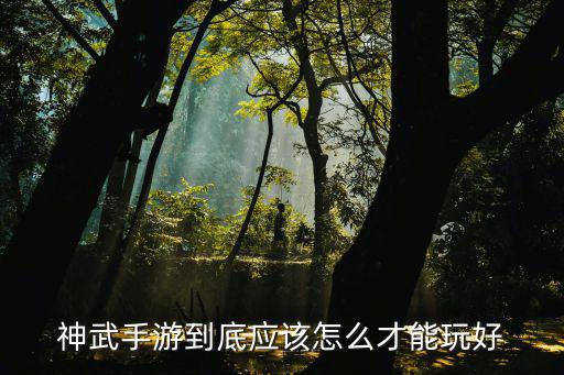 神武手游到底应该怎么才能玩好