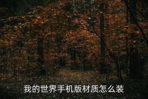 我的世界手机版材质怎么装
