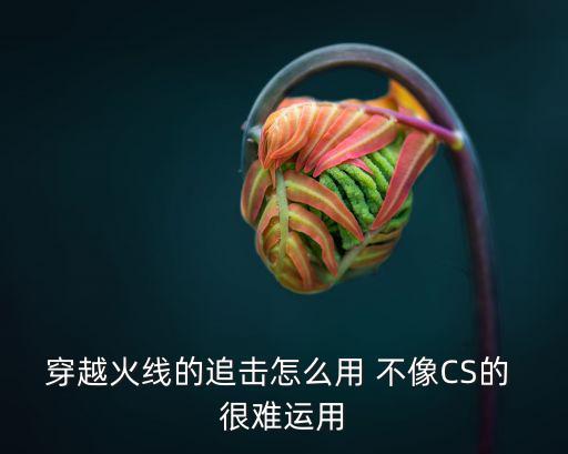 穿越火线的追击怎么用 不像CS的 很难运用
