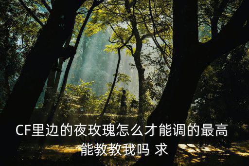 cf手游天美将夜玫瑰怎么调，CF里边的夜玫瑰怎么才能调的最高 能教教我吗 求