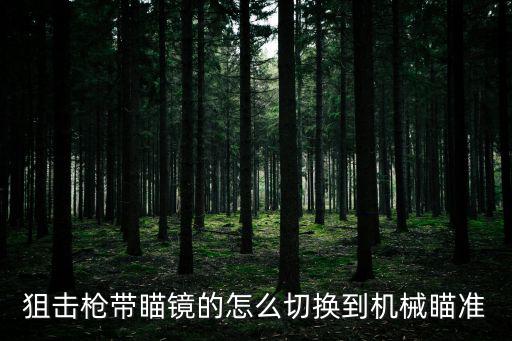 狙击枪带瞄镜的怎么切换到机械瞄准