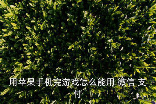 Lol手游苹果充值怎么用微信，苹果充值后怎样在微信微信游戏