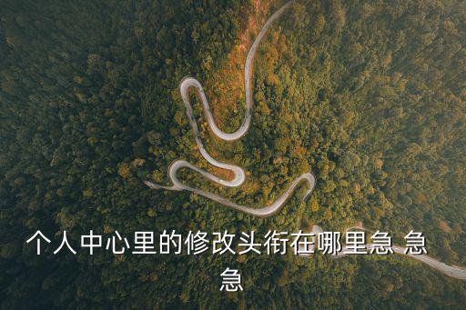 个人中心里的修改头衔在哪里急 急 急