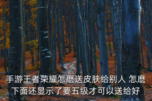 手游王者荣耀怎麽送皮肤给别人 怎麽下面还显示了要五级才可以送给好