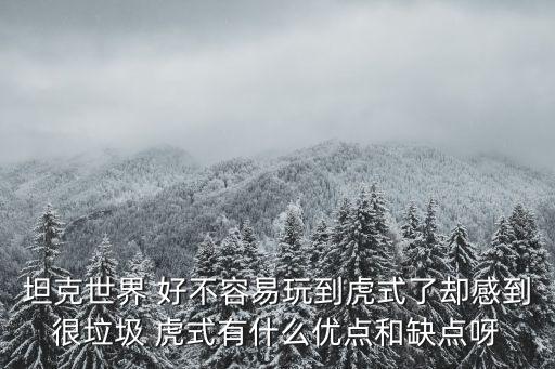 坦克世界手游虎王和虎式怎么样，坦克世界 好不容易玩到虎式了却感到很垃圾 虎式有什么优点和缺点呀