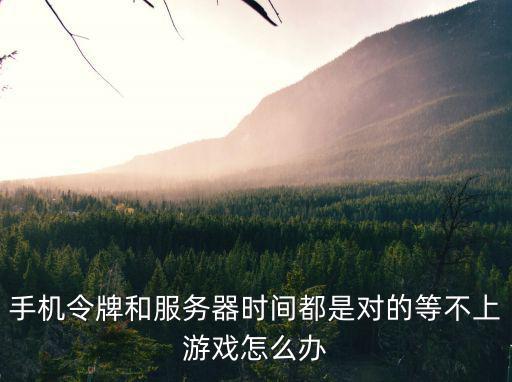 手机令牌和服务器时间都是对的等不上游戏怎么办