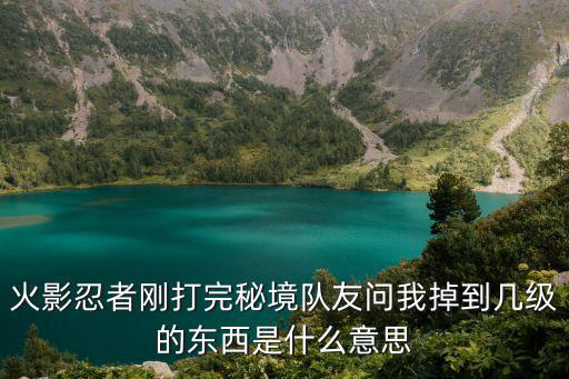 火影忍者刚打完秘境队友问我掉到几级的东西是什么意思