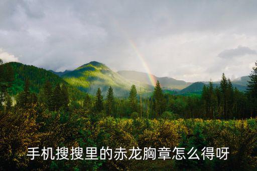 手机搜搜里的赤龙胸章怎么得呀