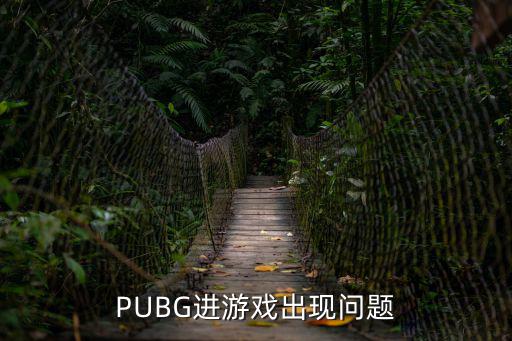 PUBG进游戏出现问题