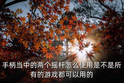 手柄当中的两个摇杆怎么使用是不是所有的游戏都可以用的