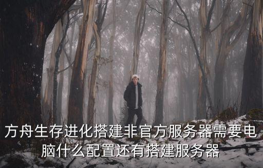 方舟生存进化搭建非官方服务器需要电脑什么配置还有搭建服务器