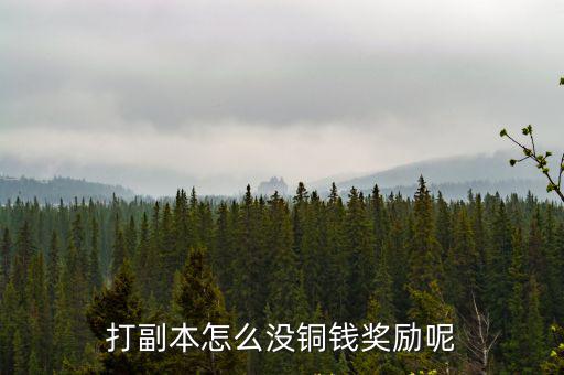 打副本怎么没铜钱奖励呢