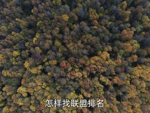 怎样找联盟排名
