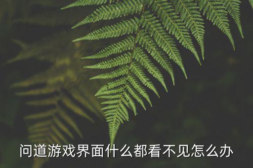 问道手游怎么看不到绿色地图，问道游戏里进入F3都不可以看到地图了 谁可以告诉我怎么调整亮度