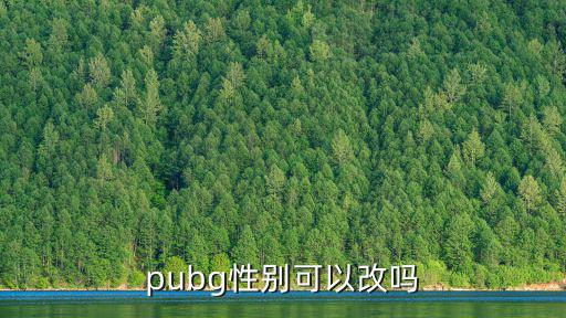 pubg性别可以改吗