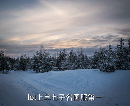 lol上单七子名国服第一