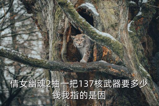 倩女幽魂2抽一把137核武器要多少钱我指的是固