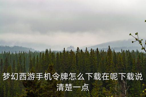 梦幻西游手机令牌怎么下载在呢下载说清楚一点