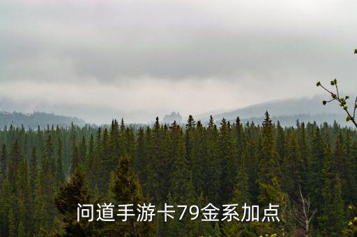 问道手游卡79金系加点