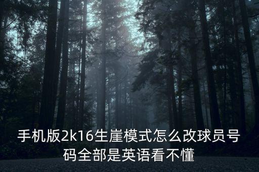 手机版2k16生崖模式怎么改球员号码全部是英语看不懂