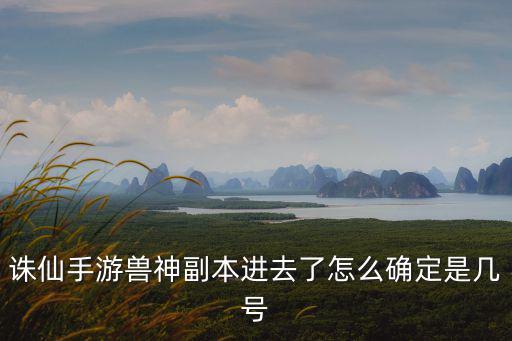 诛仙手游兽神副本进去了怎么确定是几号