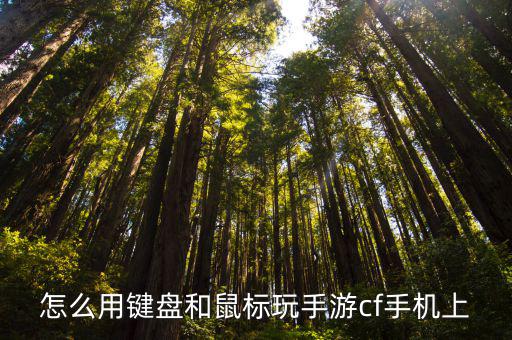 怎么用键盘和鼠标玩手游cf手机上
