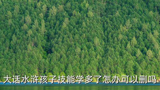 大话手游孩子技能垃圾了怎么办，大话水浒孩子技能学多了怎办可以删吗