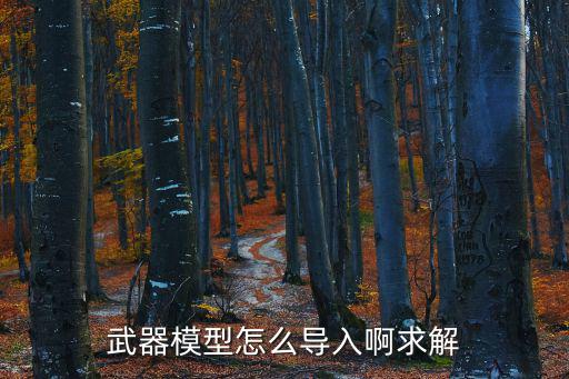 武器模型怎么导入啊求解