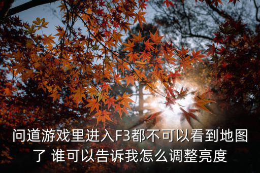 问道游戏里进入F3都不可以看到地图了 谁可以告诉我怎么调整亮度