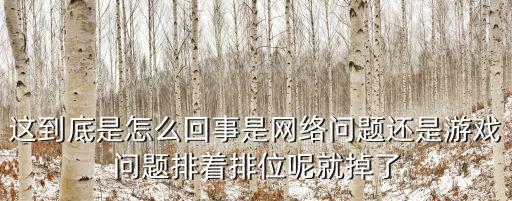 这到底是怎么回事是网络问题还是游戏问题排着排位呢就掉了