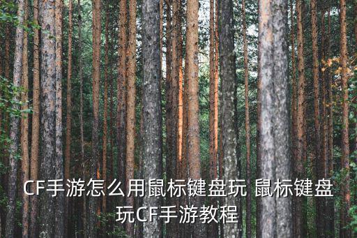 CF手游怎么用鼠标键盘玩 鼠标键盘玩CF手游教程
