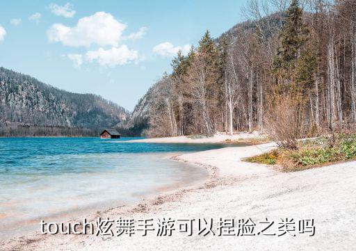 炫舞手游捏脸端游怎么使用，touch炫舞手游可以捏脸之类吗