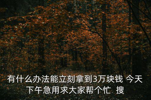 有什么办法能立刻拿到3万块钱 今天下午急用求大家帮个忙  搜