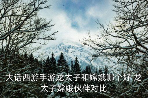 大话西游手游龙太子和嫦娥哪个好 龙太子嫦娥伙伴对比